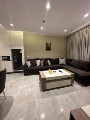 Chic Apartments For Rent ave1-6